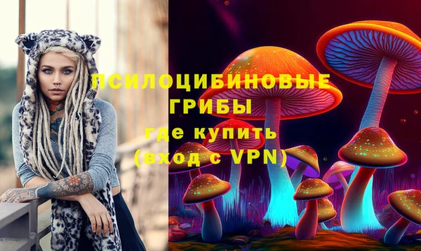 соль ск Осташков
