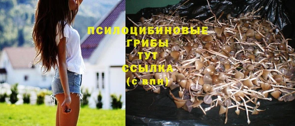 таблы Переславль-Залесский