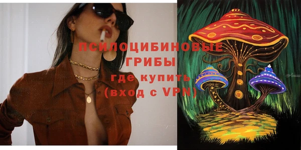 герыч Осинники