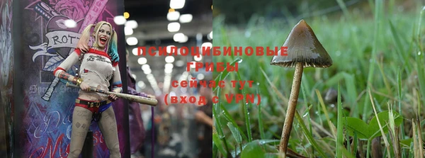 герыч Осинники