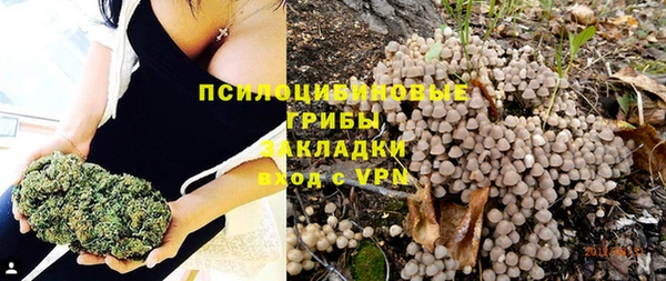 крисы Долгопрудный
