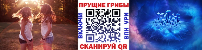 Галлюциногенные грибы прущие грибы  Севастополь 